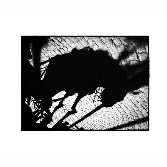Conceptuele kunstfotografie, kunstfotografie, kunst, fotografie